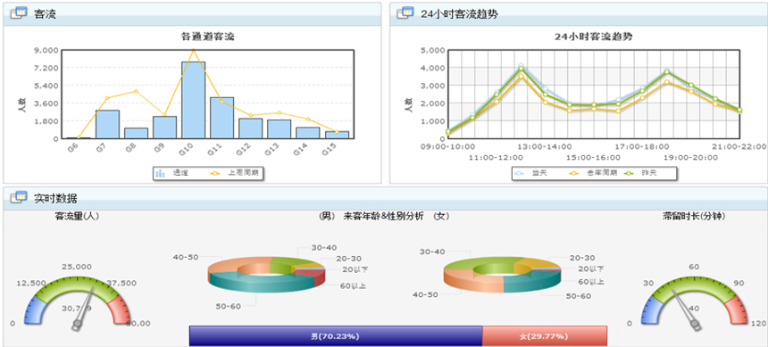 报表.png